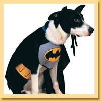 Bat Pet Costumes