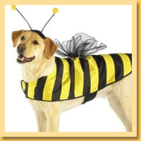 Bumble Bee Pet Costumes