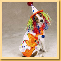 Clown Pet Costumes