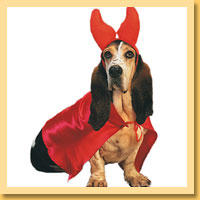 Devil Pet Costumes