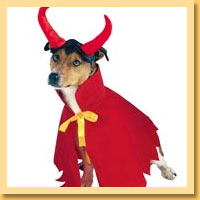 Devil Pet Costumes