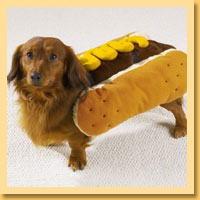 Hot Dog Pet Costumes