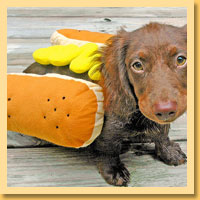 Hot Dog Pet Costumes