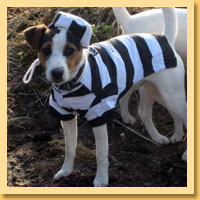 Jailbird Pet Costumes