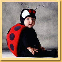 Lady Bug Baby Costumes