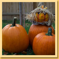 Pumpkin Carving Ideas 