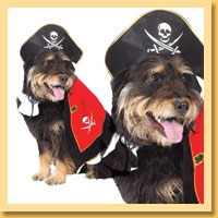Pirate Pet Costumes