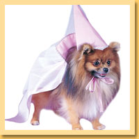 Princess Pet Costumes